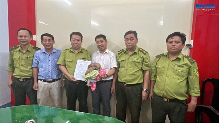 Bàn giao 2 cá thể Tê tê Java quý hiếm cho Vườn Quốc gia Cúc Phương