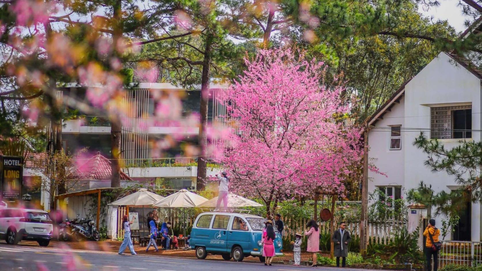 Chuỗi hoạt động Chào năm mới 2026 và Tuần Văn hóa - Du lịch Măng Đen