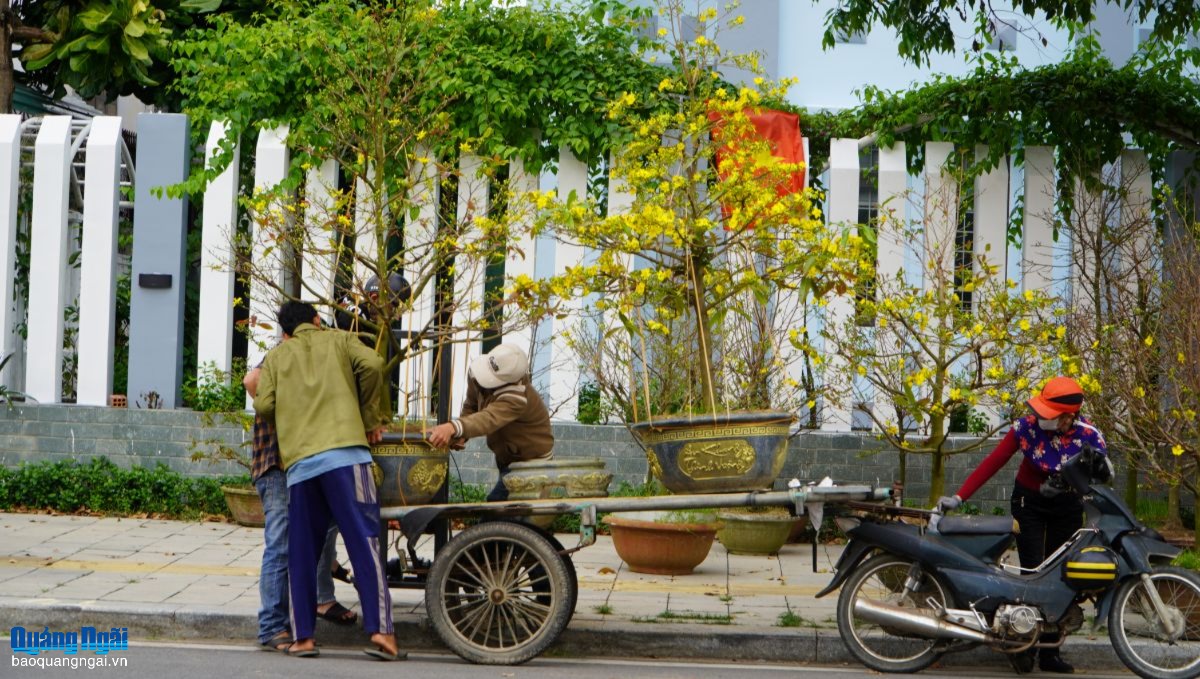 Hối hả nghề chở 