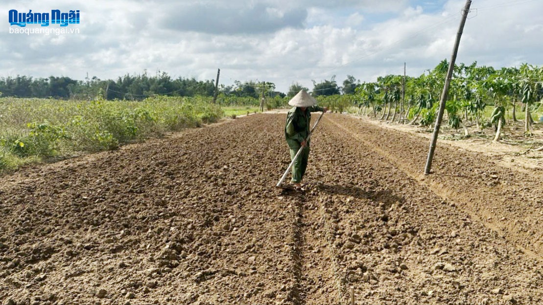 Khôi phục sản xuất