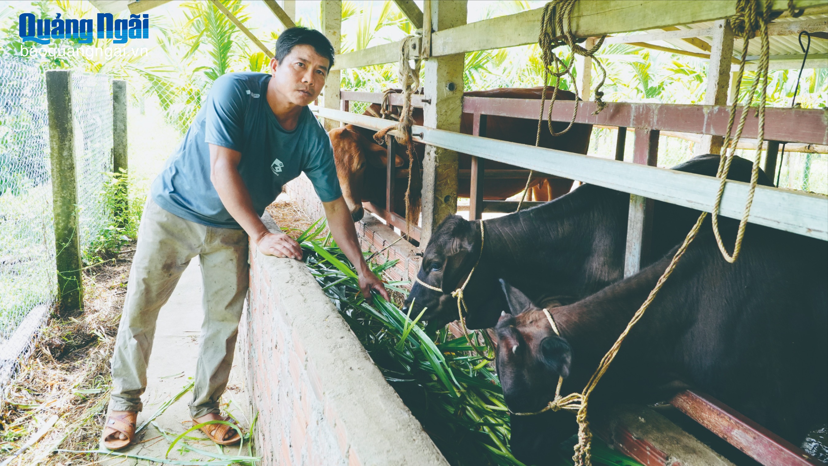 Trợ lực thoát nghèo
