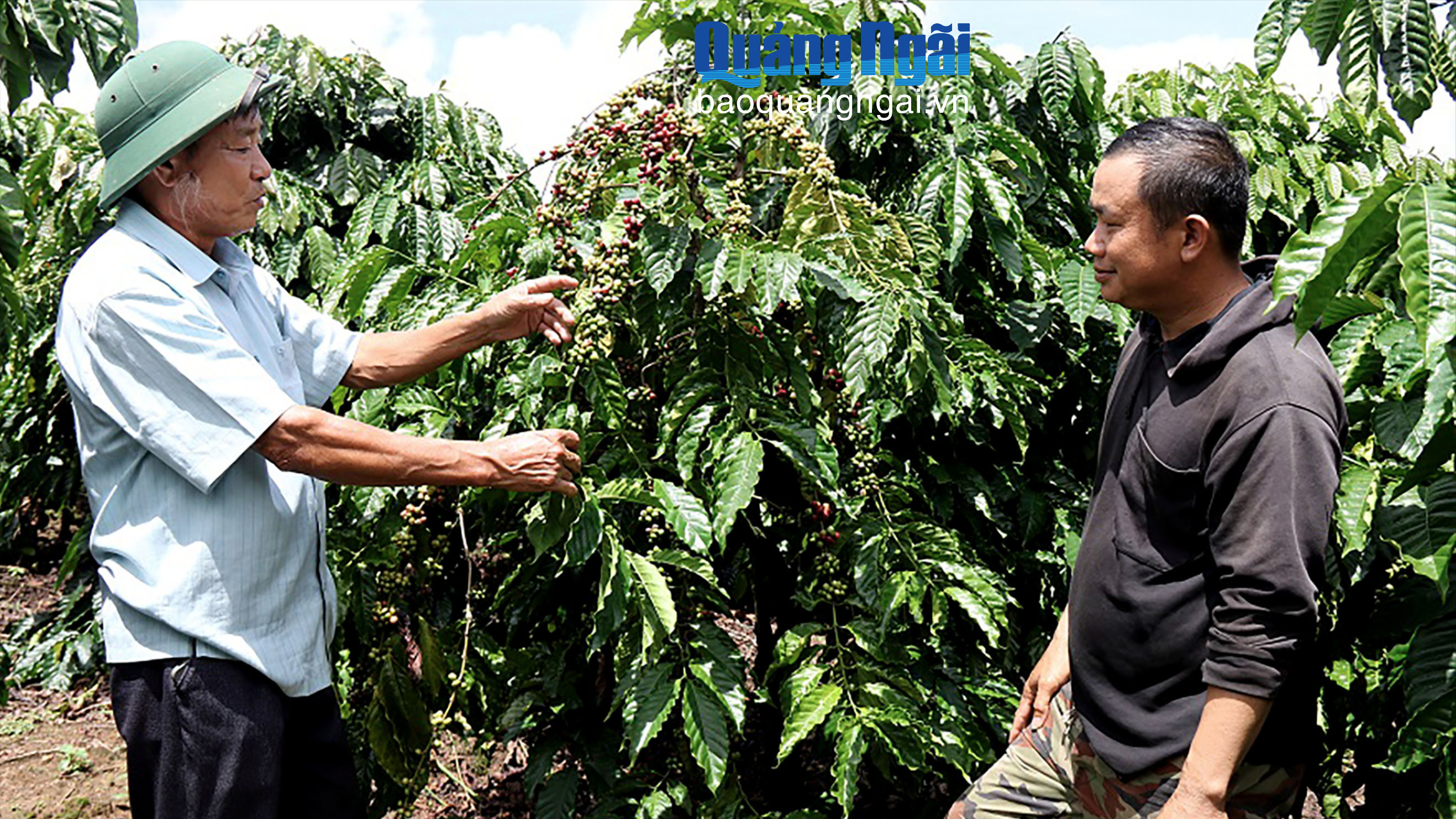 Phát triển kinh tế tập thể ở vùng cao