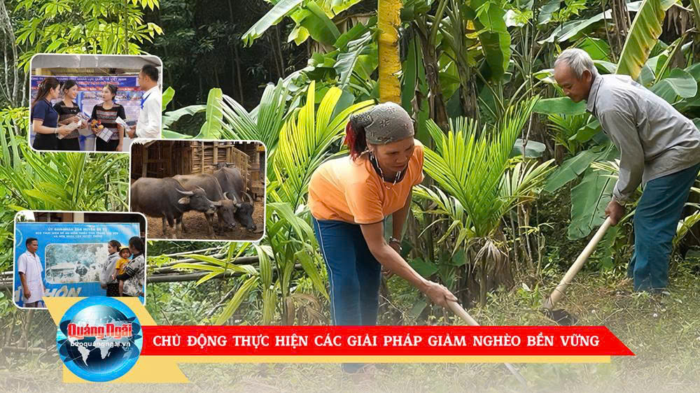 [Video]. Chủ động thực hiện các giải pháp giảm nghèo bền vững