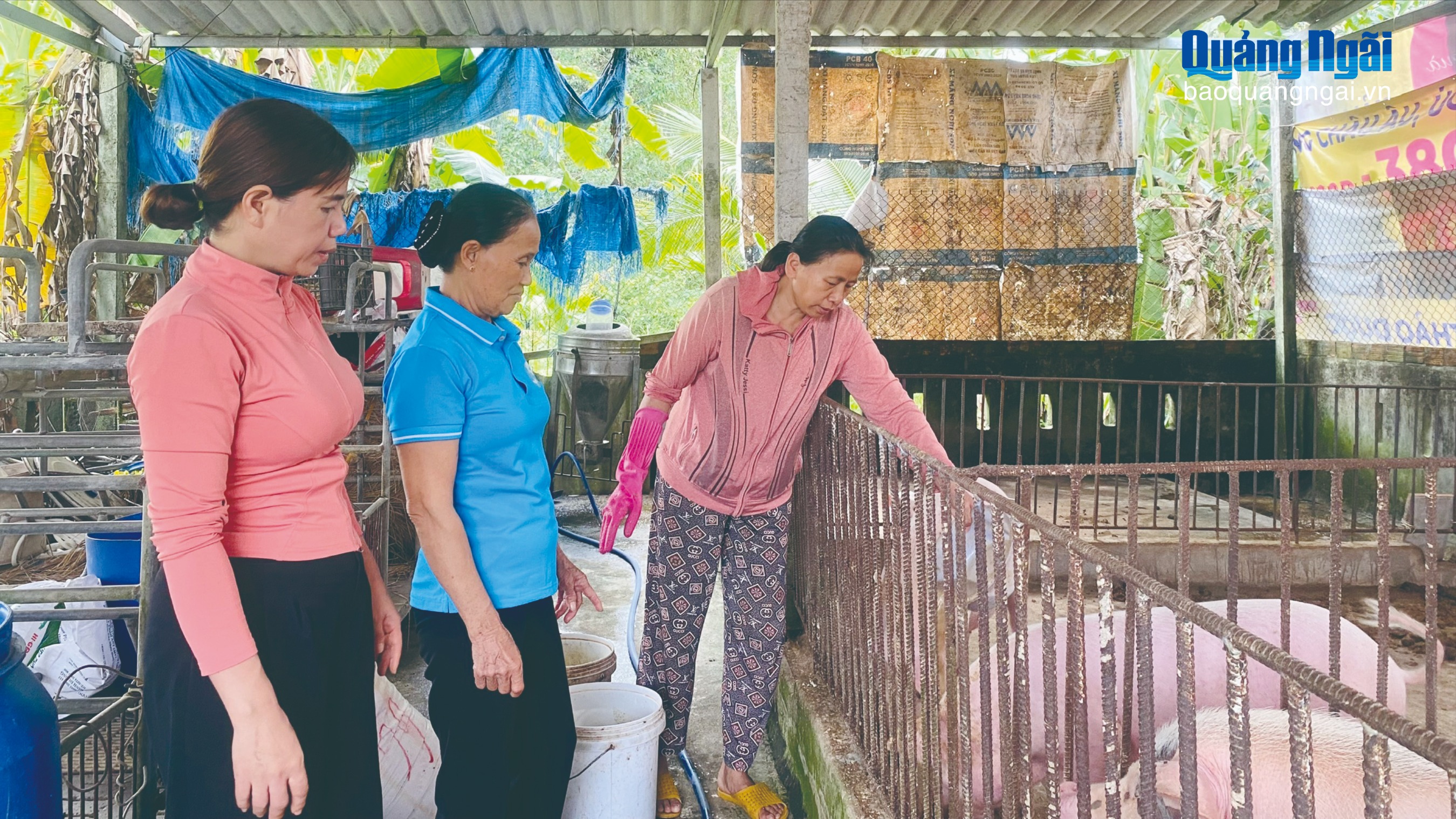 Trao sinh kế cho phụ nữ nghèo