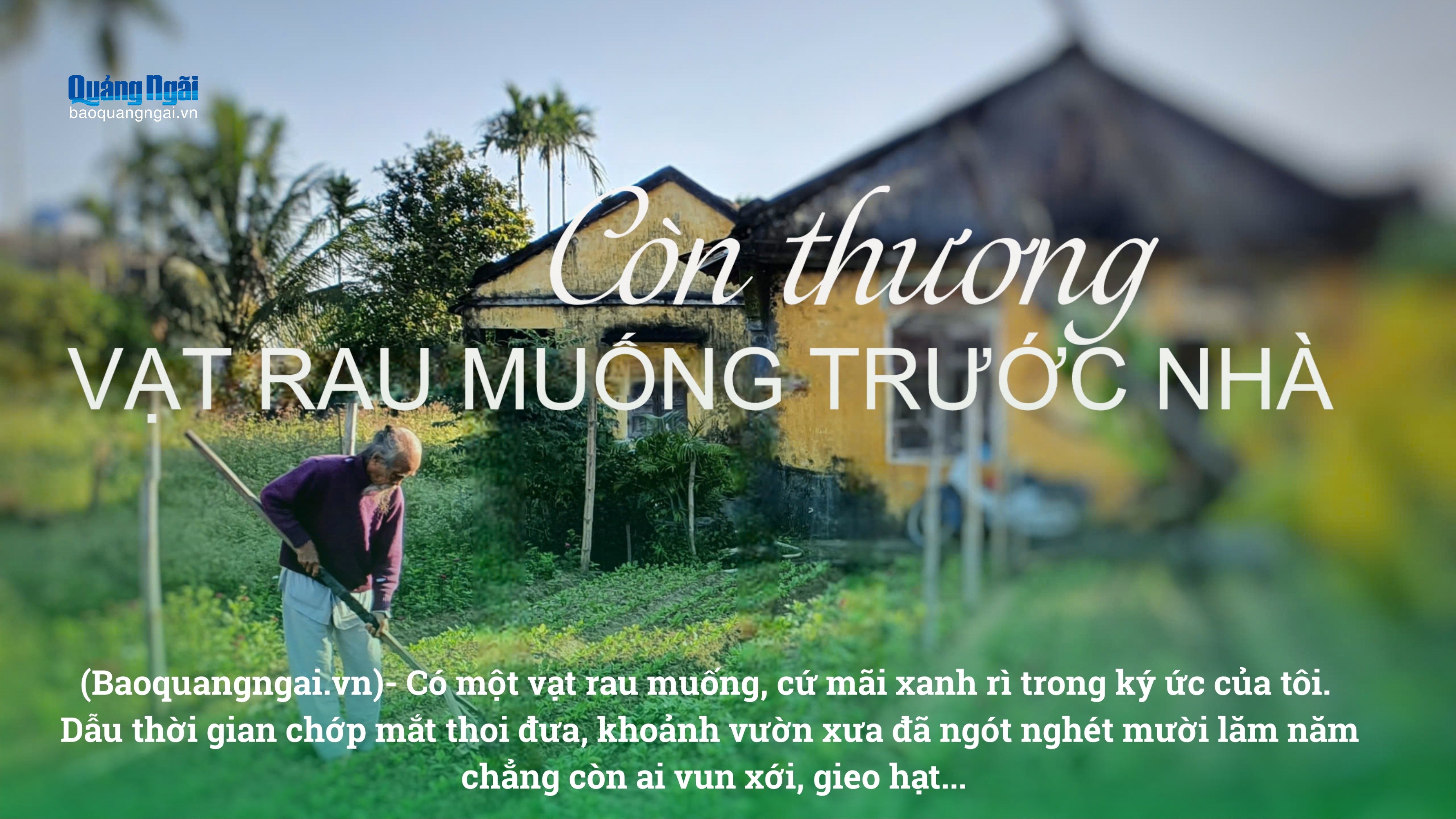 Còn thương vạt rau muống trước nhà...