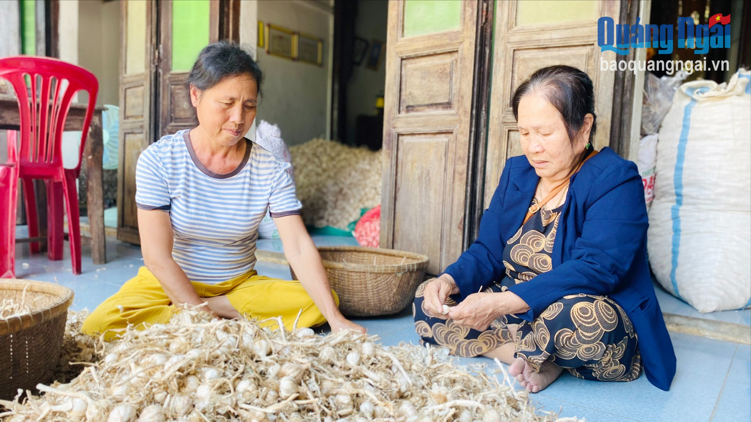 Phụ nữ Lý Sơn: Sử dụng hiệu quả nguồn vốn ưu đãi