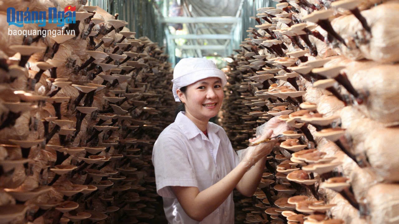 Bổ sung nguồn vốn chính sách cho Chương trình OCOP