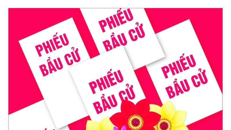[Hỏi đáp] Quyền bầu cử là gì? Quyền ứng cử là gì?