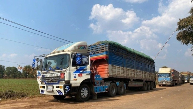 Tạm dừng áp dụng Nghị định số 46 về an toàn thực phẩm đến hết ngày 15/4/2026