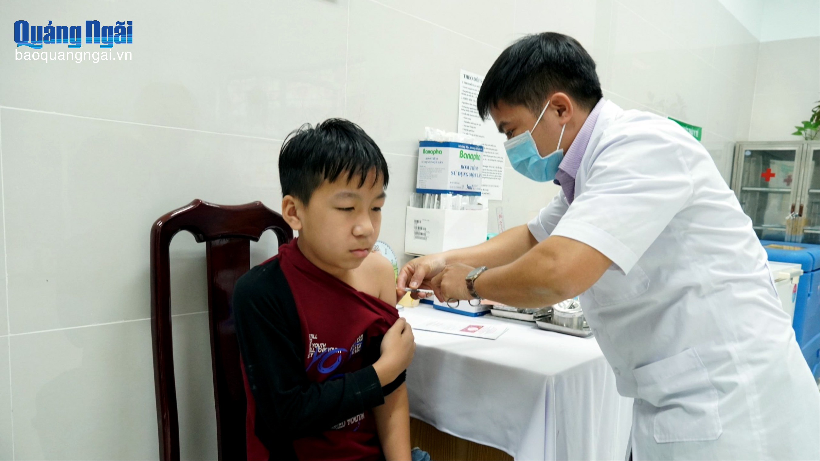 Nuôi chó thả rông: Cần biện pháp chế tài mạnh hơn