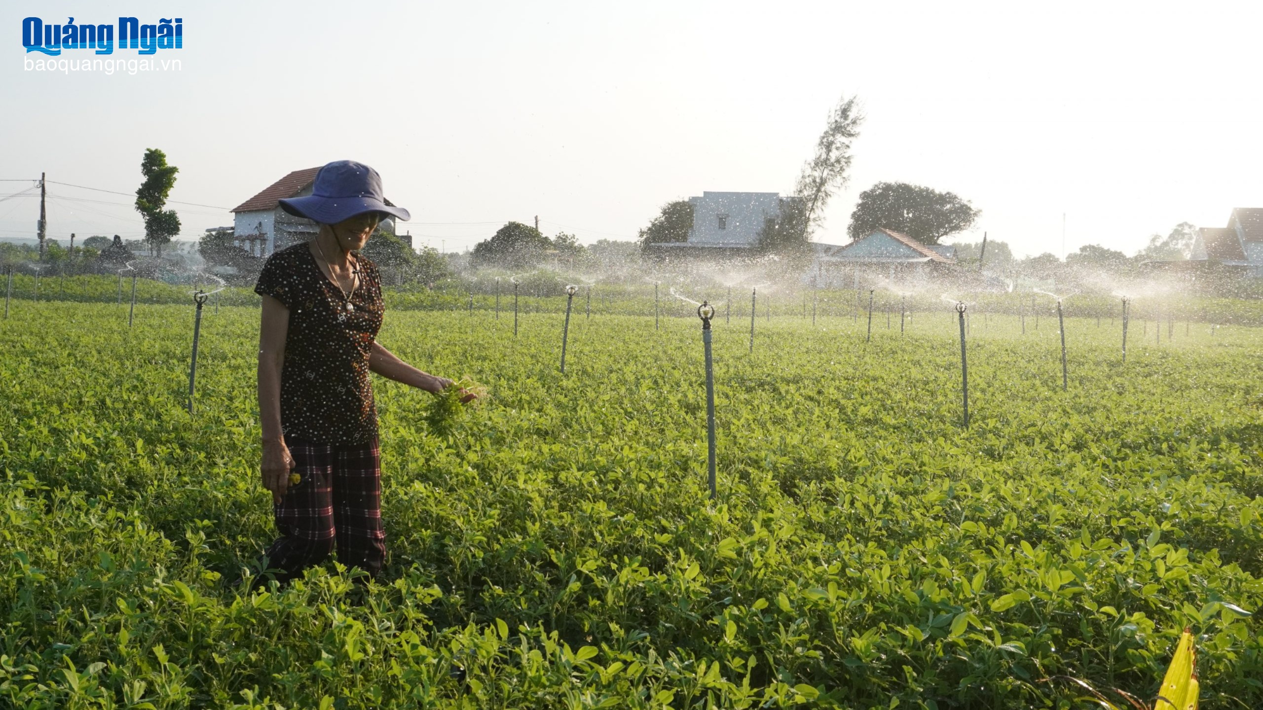 Nông dân thích ứng với biến đổi khí hậu