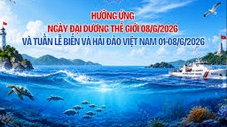 Nhiều hoạt động hưởng ứng Ngày Đại dương thế giới