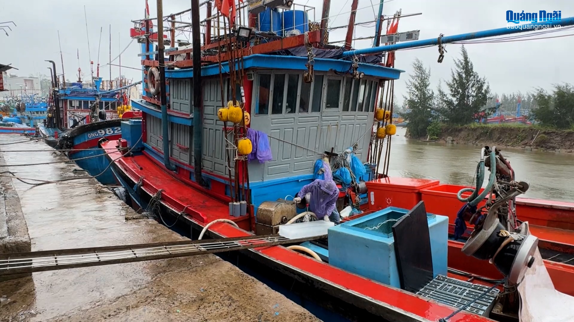 Quảng Ngãi công bố mở thêm các cảng cá phục vụ chống IUU