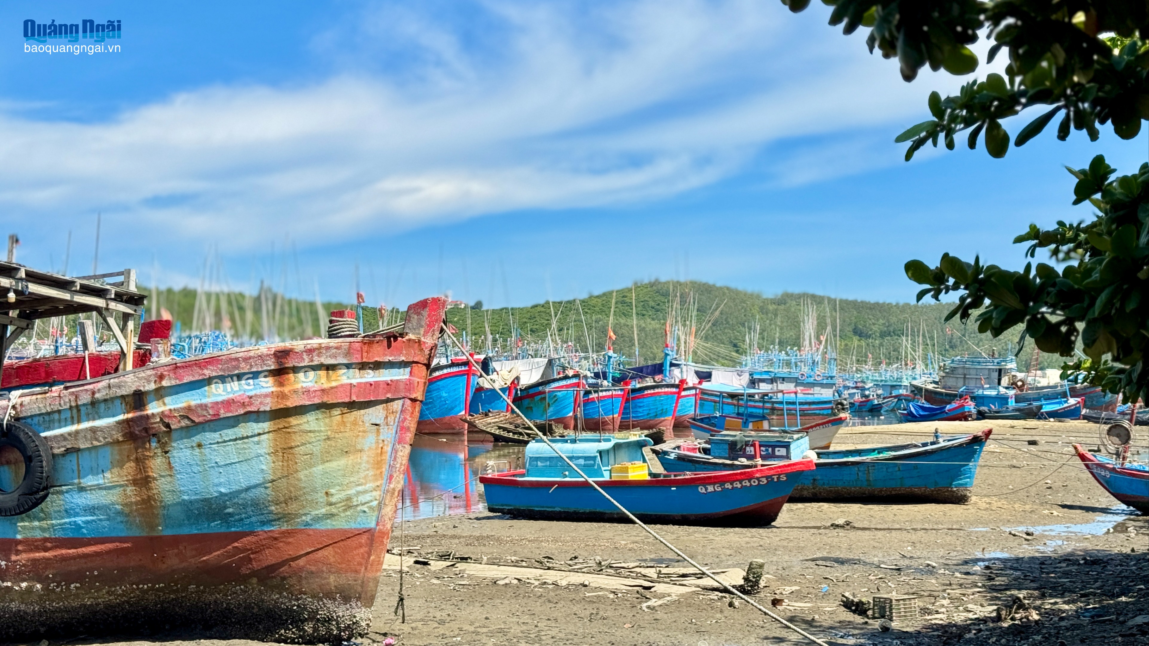 Đề xuất chính sách hỗ trợ giải bản tàu cá không còn nhu cầu khai thác