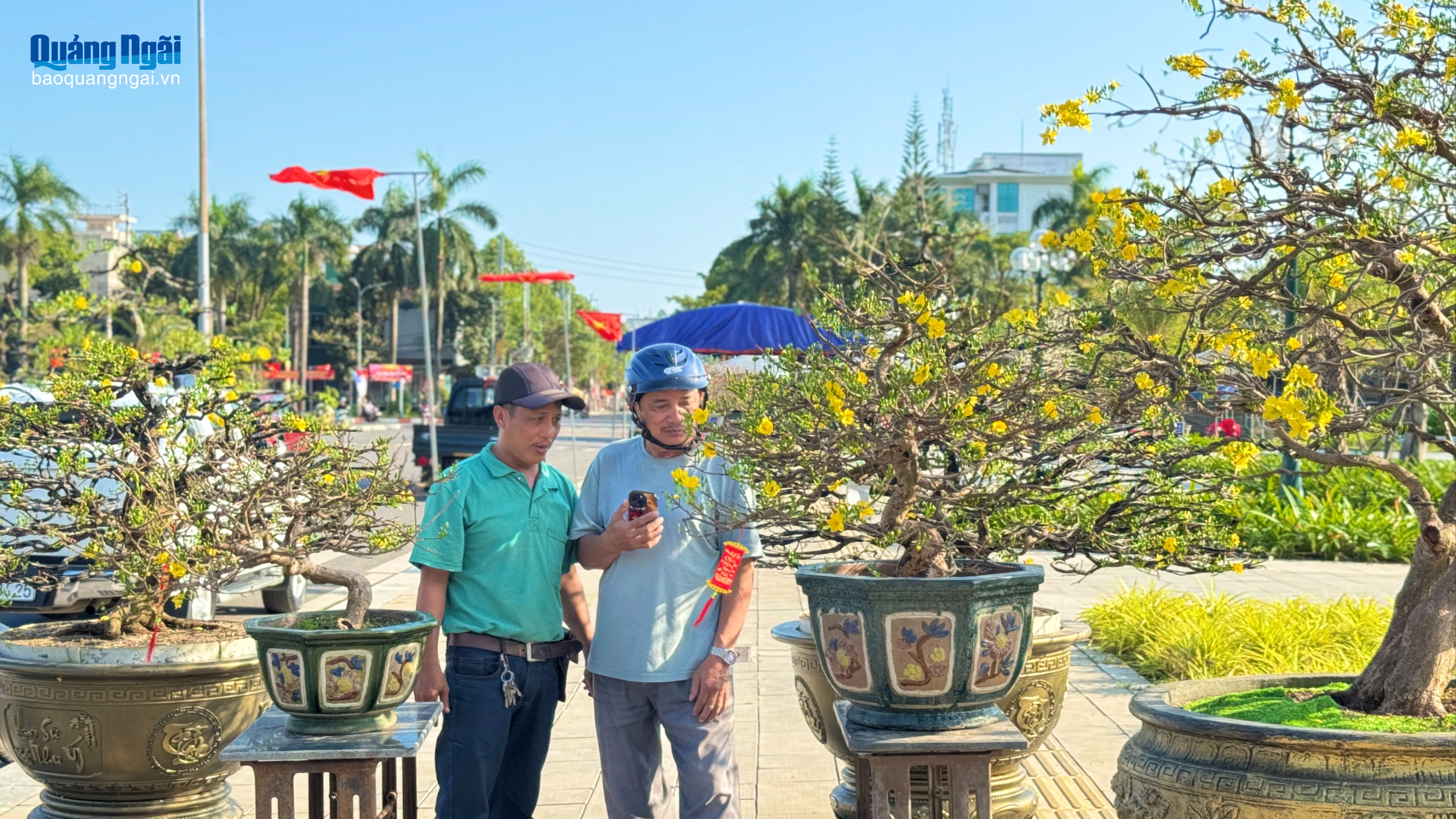 Hoa Tết về phố, đánh thức nhịp xuân