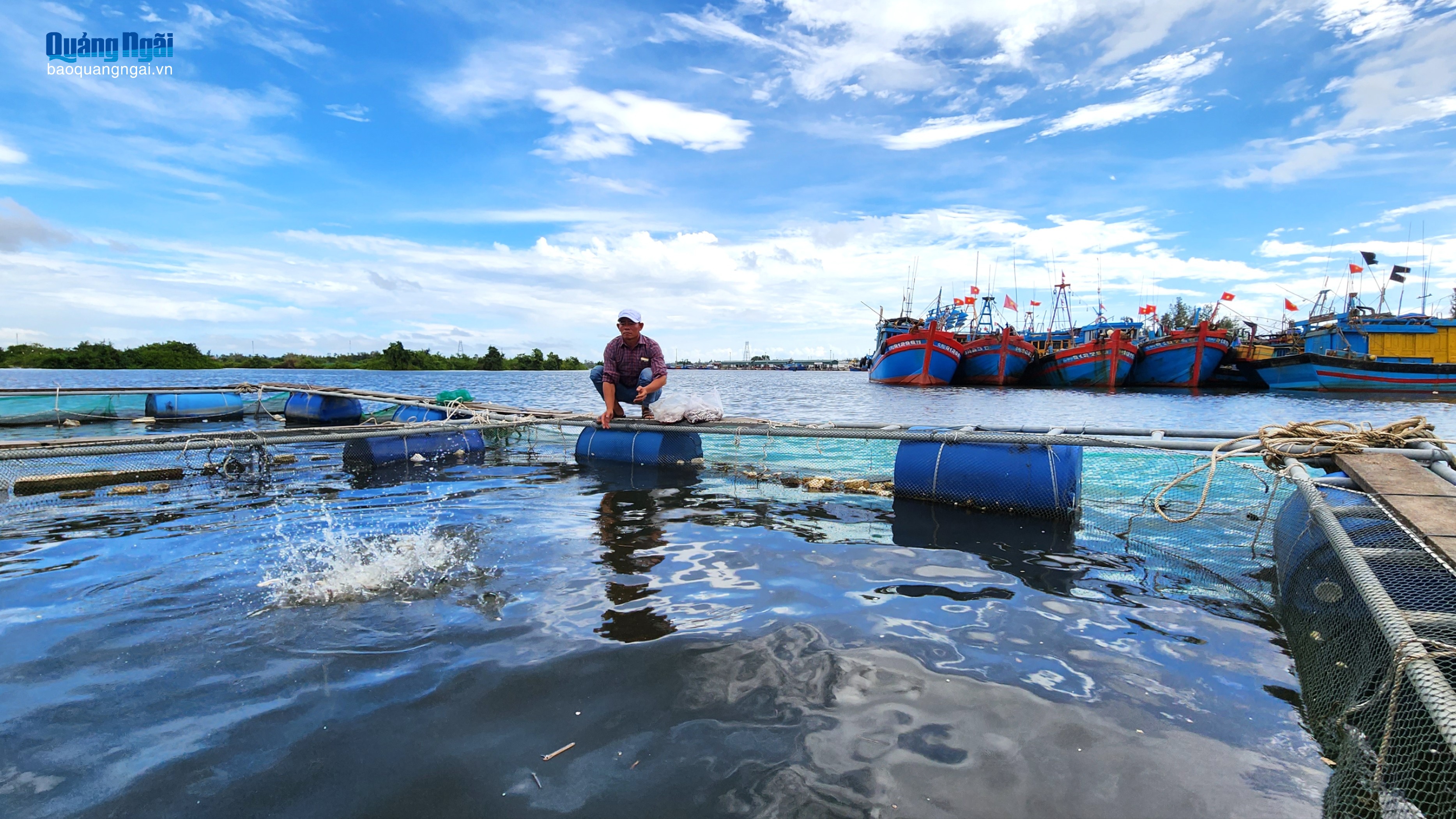 Chủ động thích ứng biến động giá, ổn định nuôi trồng thủy sản