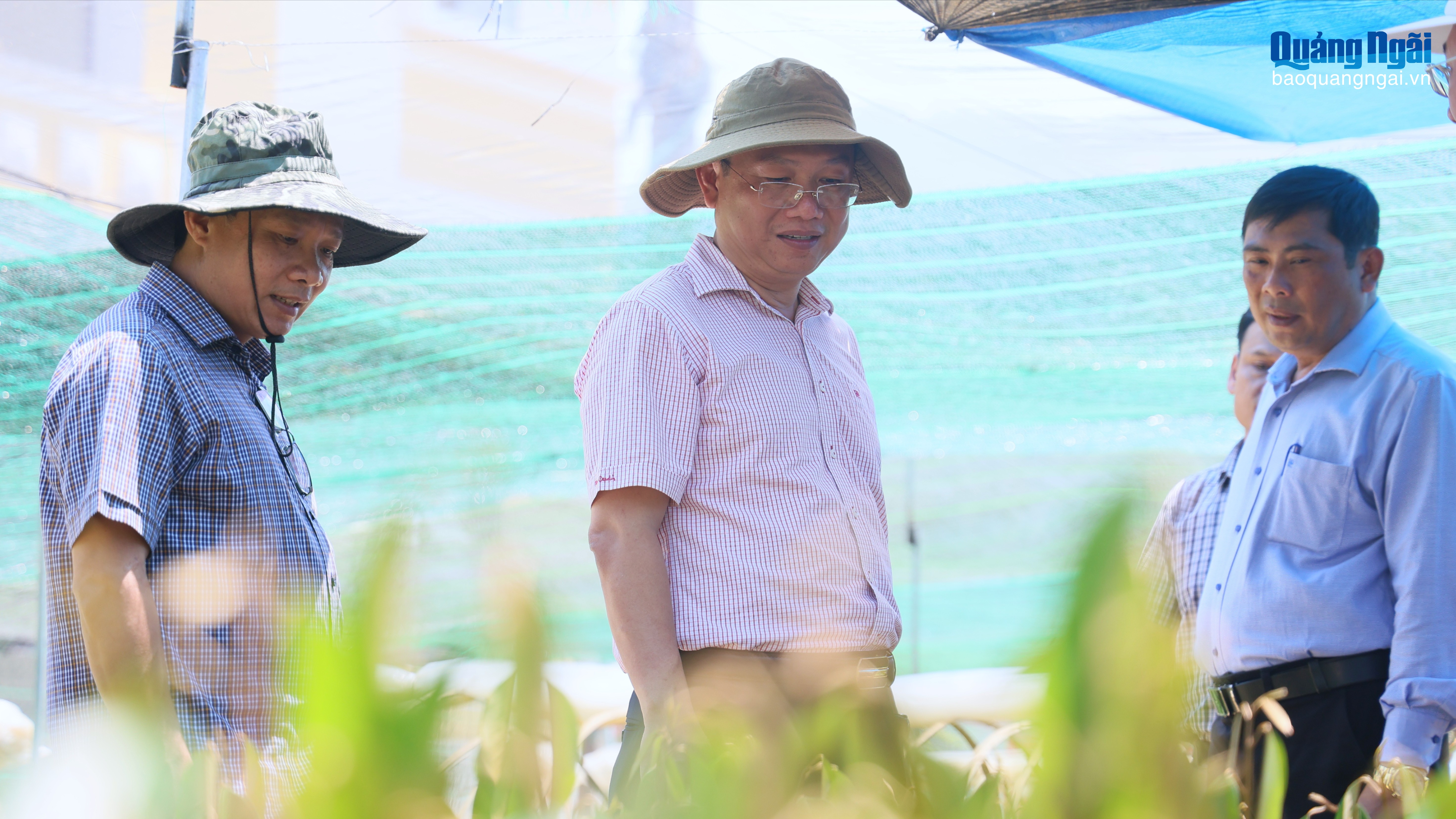 Khai thác tiềm năng, định hình hướng phát triển bền vững