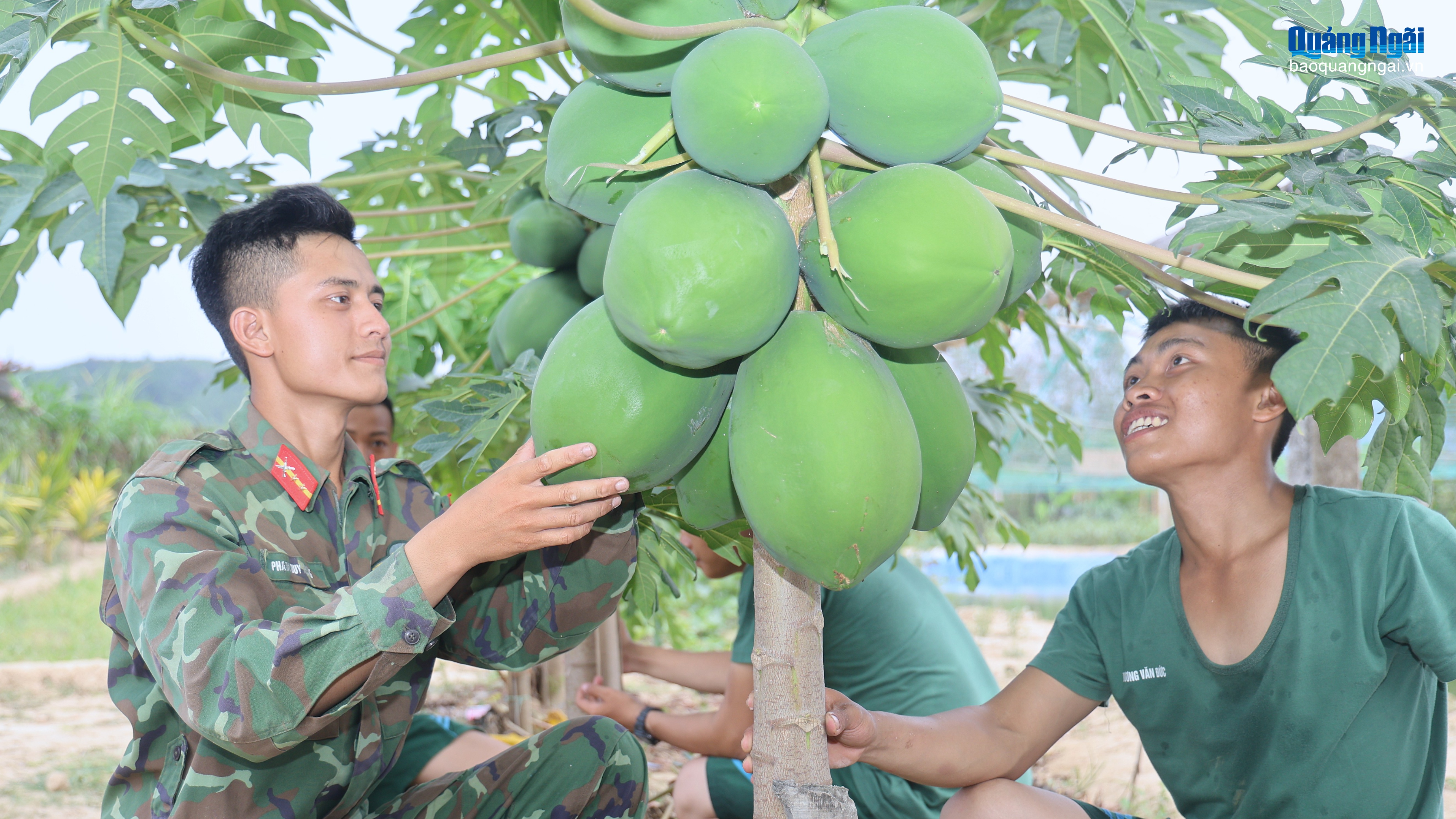 [Ảnh]. Nét đẹp tăng gia sản xuất