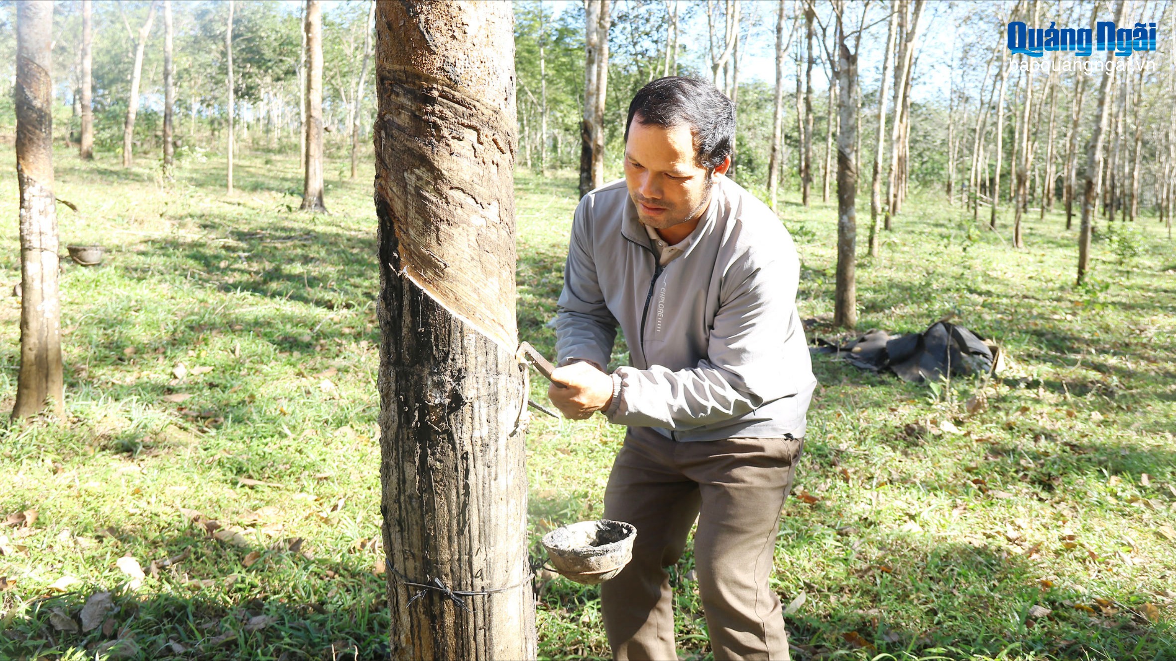 Phát triển nông nghiệp bền vững