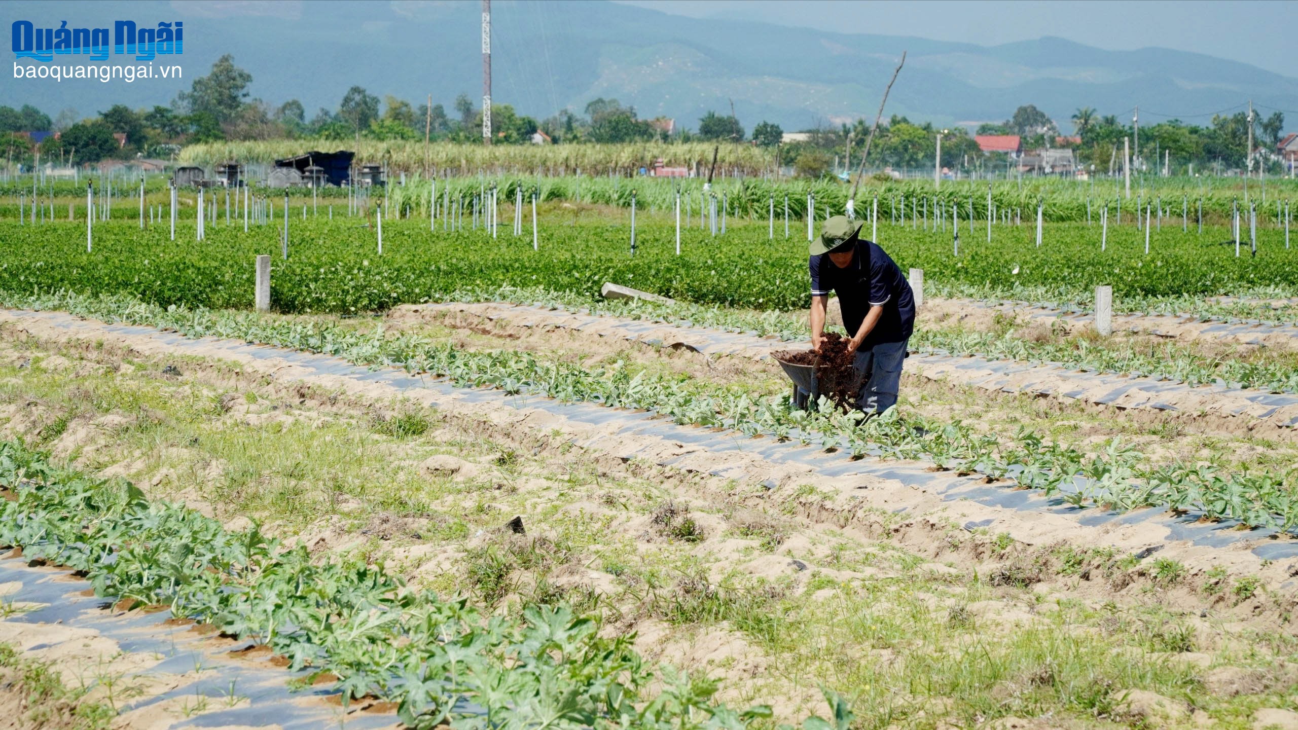 Cải tạo, phục hồi đất nông nghiệp: Yêu cầu tất yếu