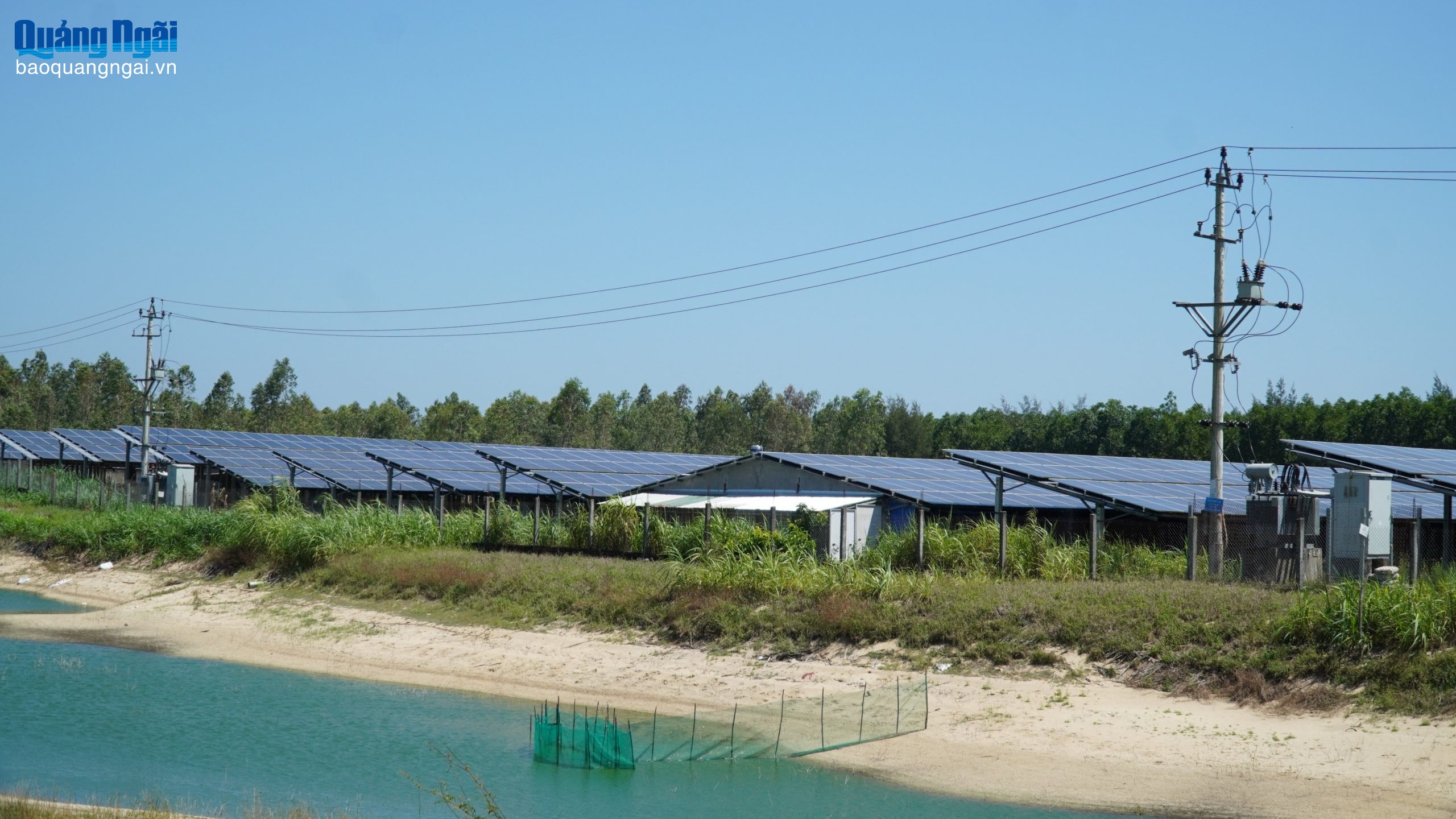 “Trái ngọt” từ chuyển đổi xanh