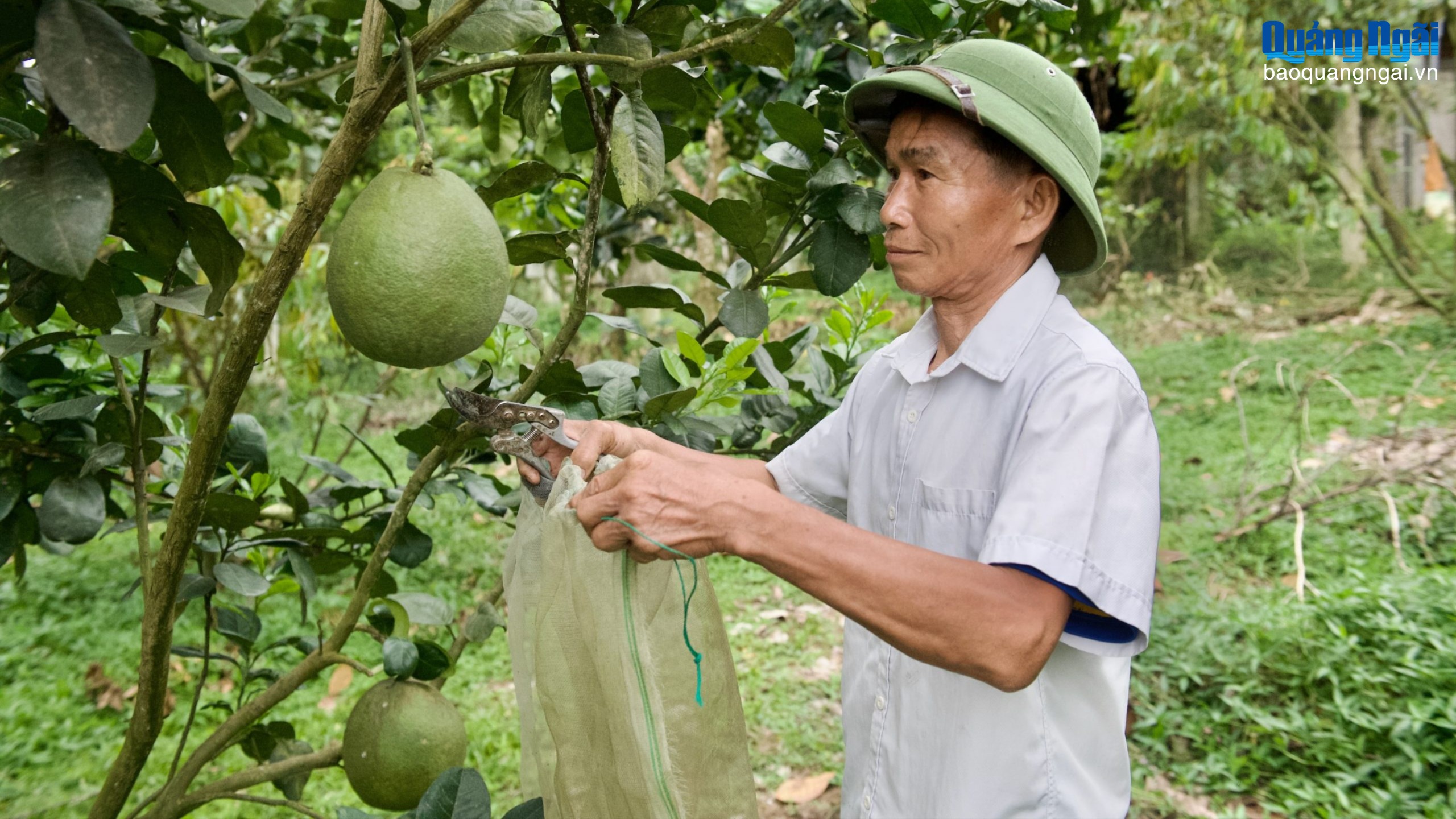 Đầu tàu phát triển kinh tế ở xã Rờ Kơi