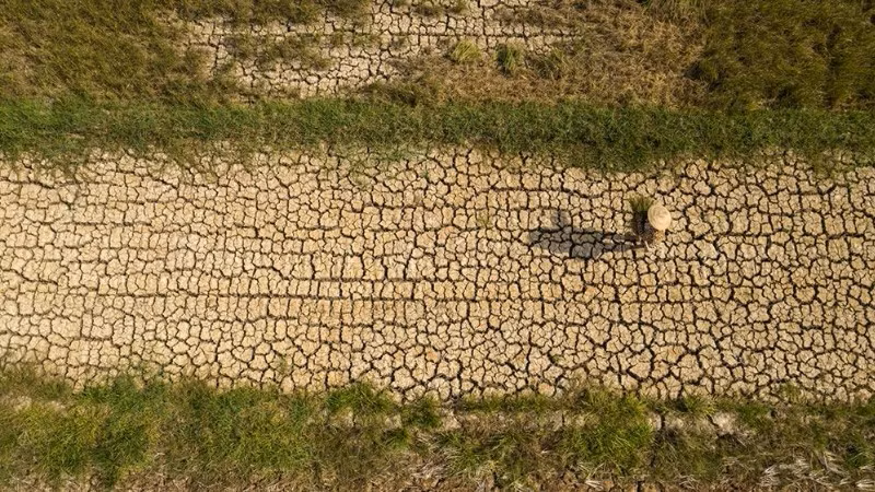 Cảnh báo sớm nguy cơ thiếu hụt nguồn nước do El Nino từ giữa năm 2026