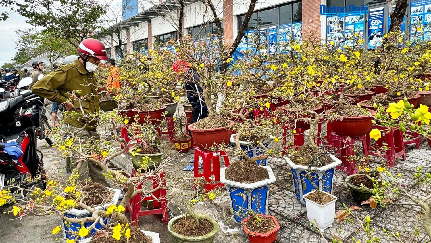 Hội chợ hoa Xuân Bính Ngọ diễn ra từ ngày 20 đến 12 giờ ngày 29 tháng Chạp