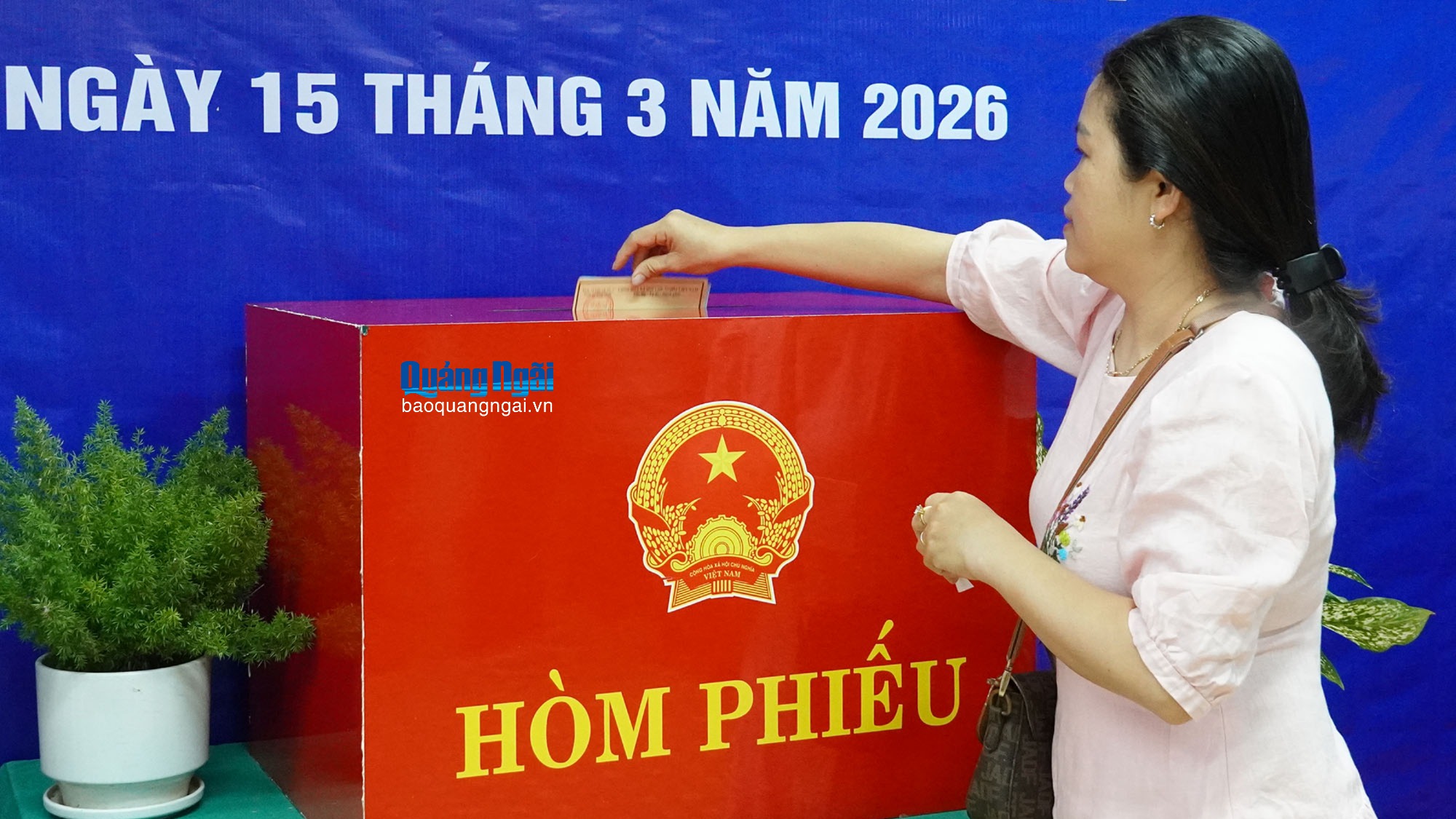 Quảng Ngãi đã có 217 khu vực bỏ phiếu cử tri đi bầu đạt 100%