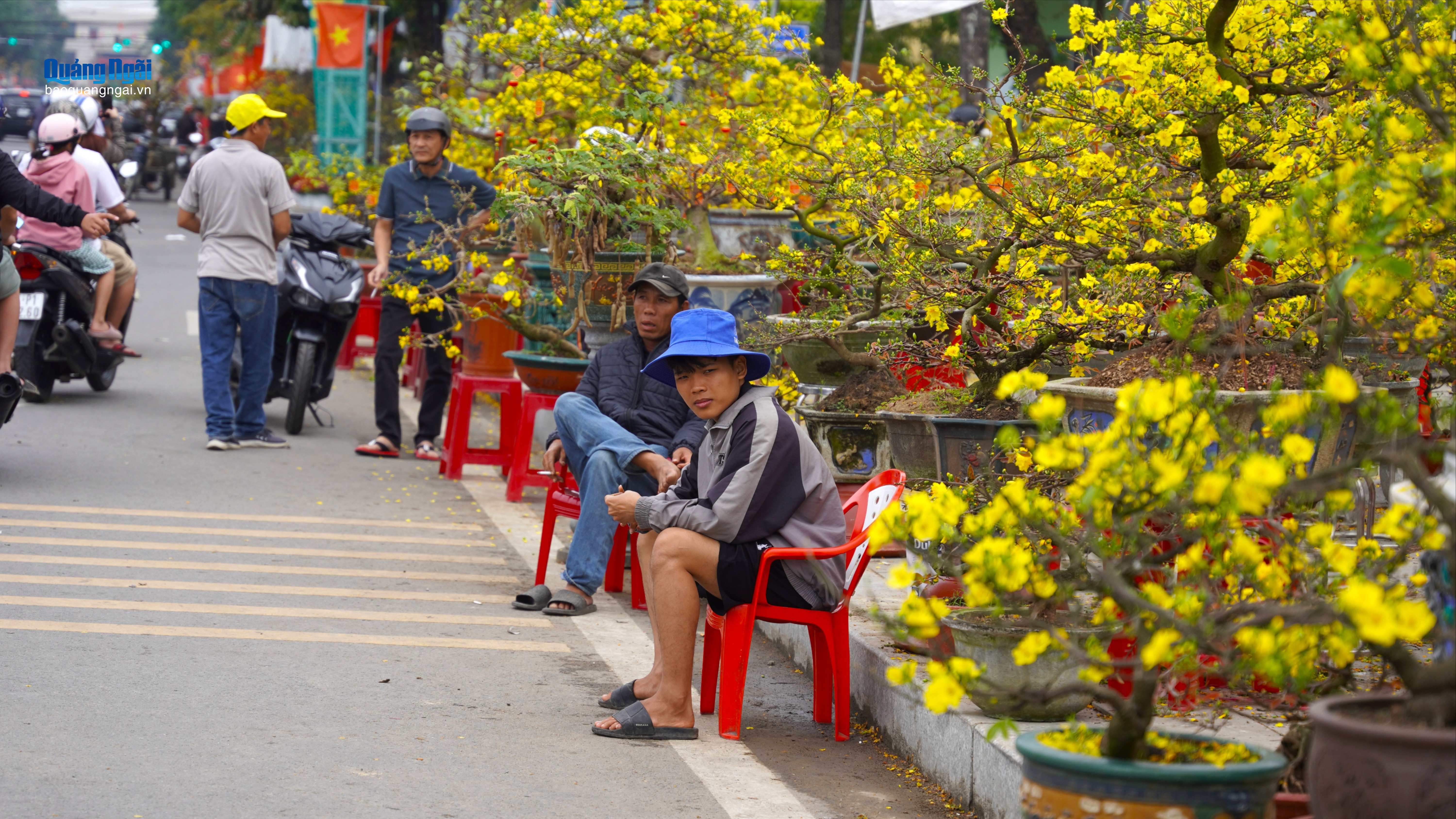 Chợ hoa xuân ế ẩm, người bán thua lỗ