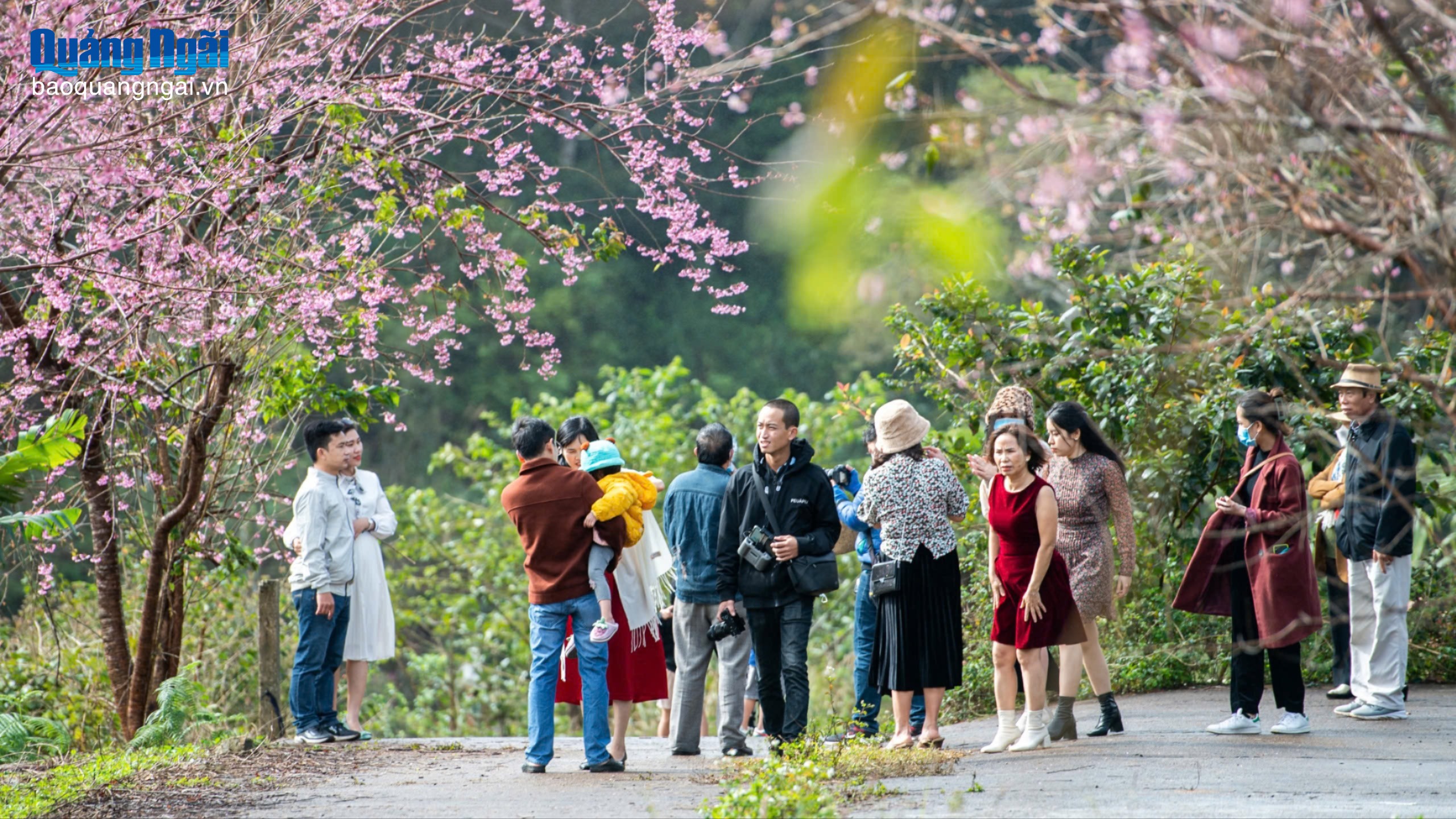 Tổ chức chuỗi hoạt động chào năm mới 2026