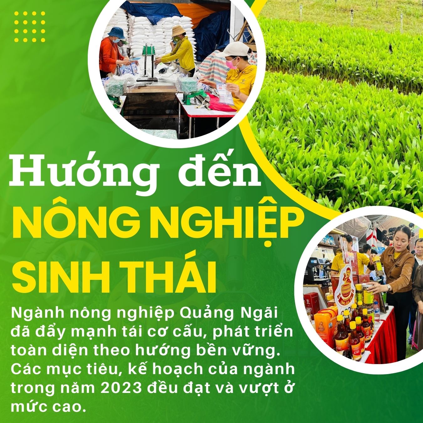 [Emagazine]. Hướng đến nông nghiệp sinh thái