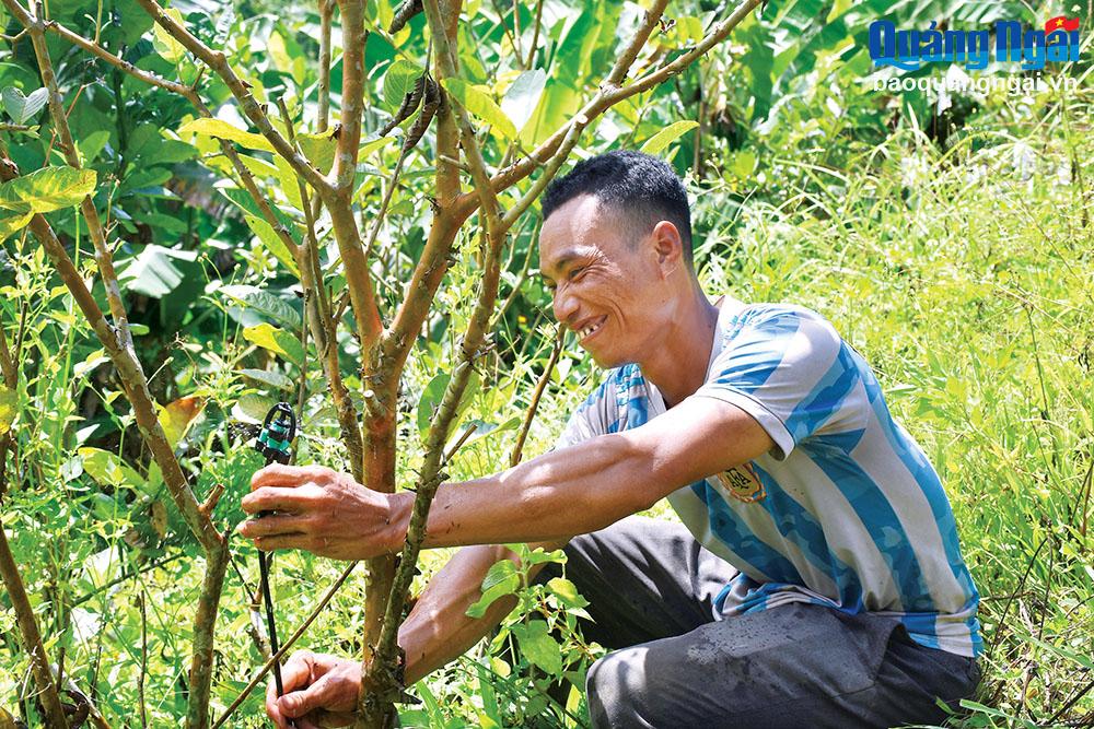 Nhân rộng mô hình tưới nước tiết kiệm