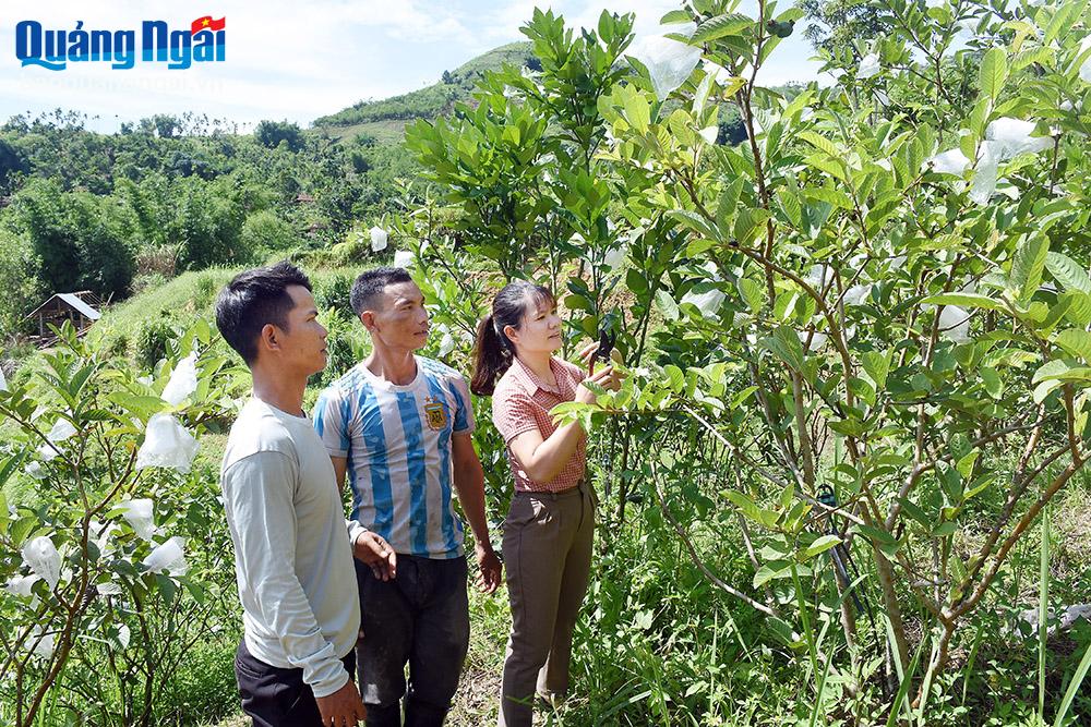 Đồng hành cùng nông dân