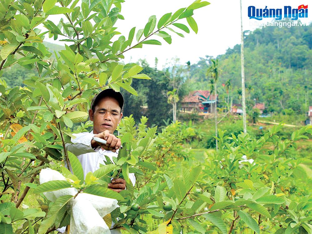 Những đảng viên làm kinh tế giỏi