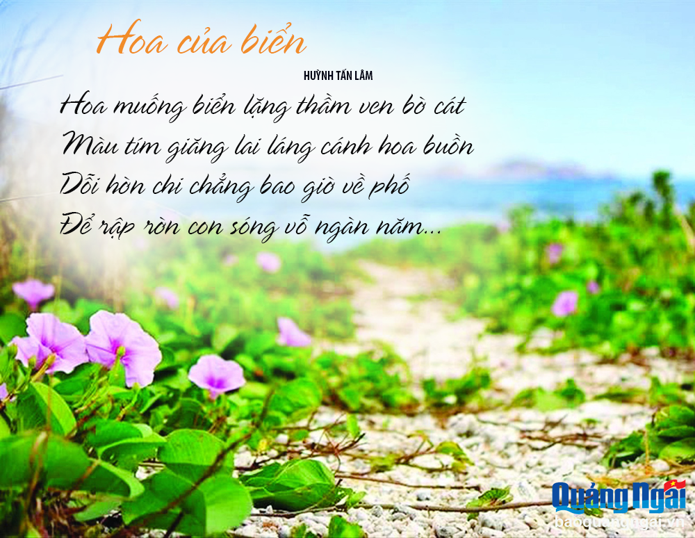 Hoa của biển