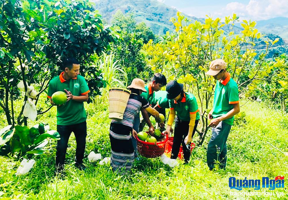 Sơn Tây nỗ lực xây dựng nông thôn mới