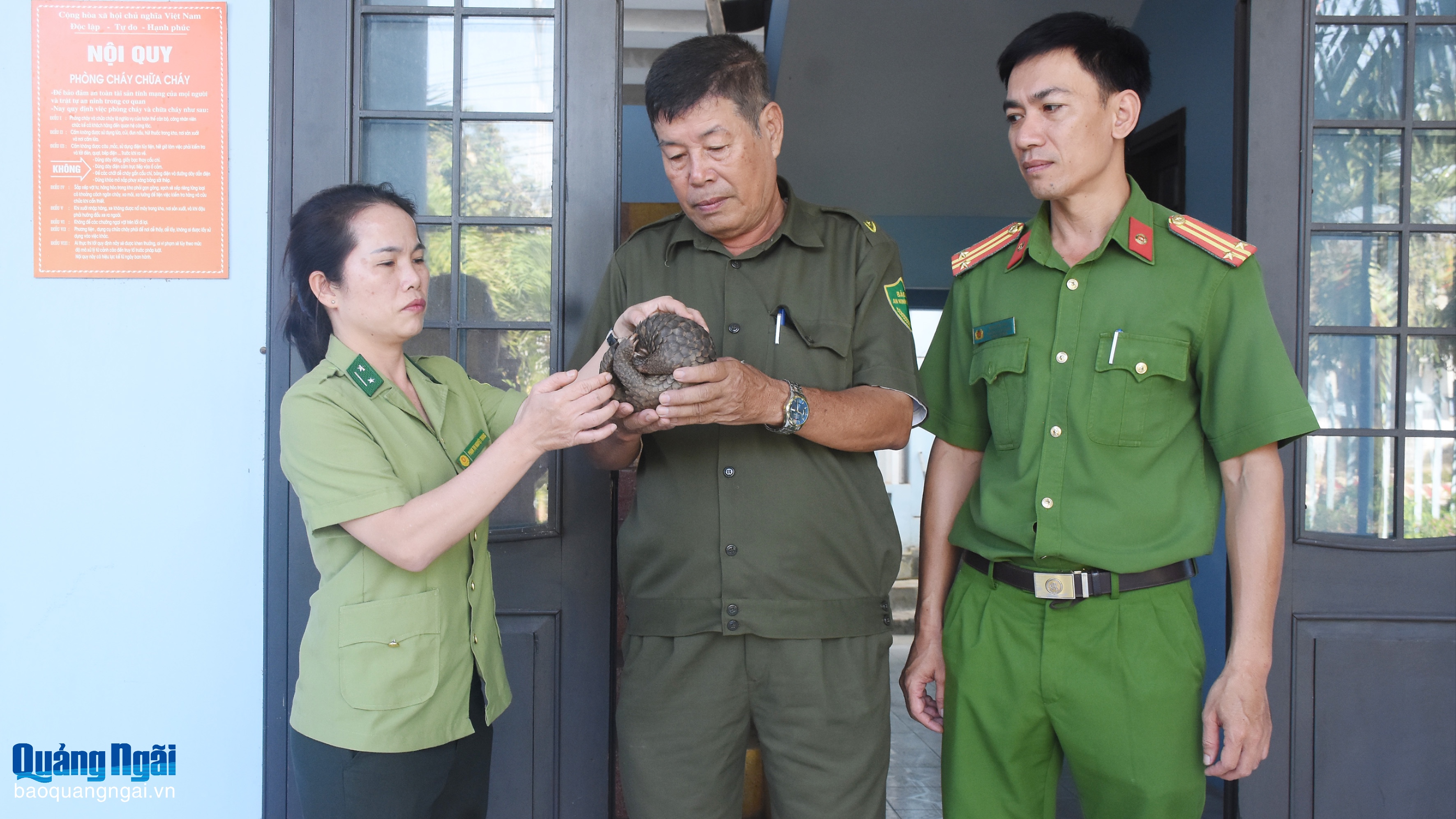 Tiếp nhận, cứu hộ 1 cá thể Tê tê java