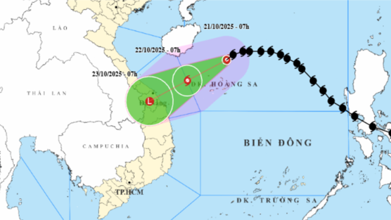 Khẩn trương ứng phó cơn bão số 12, tăng cường công tác tuyên truyền trên các nền tảng của Báo và Phát thanh, Truyền hình Quảng Ngãi