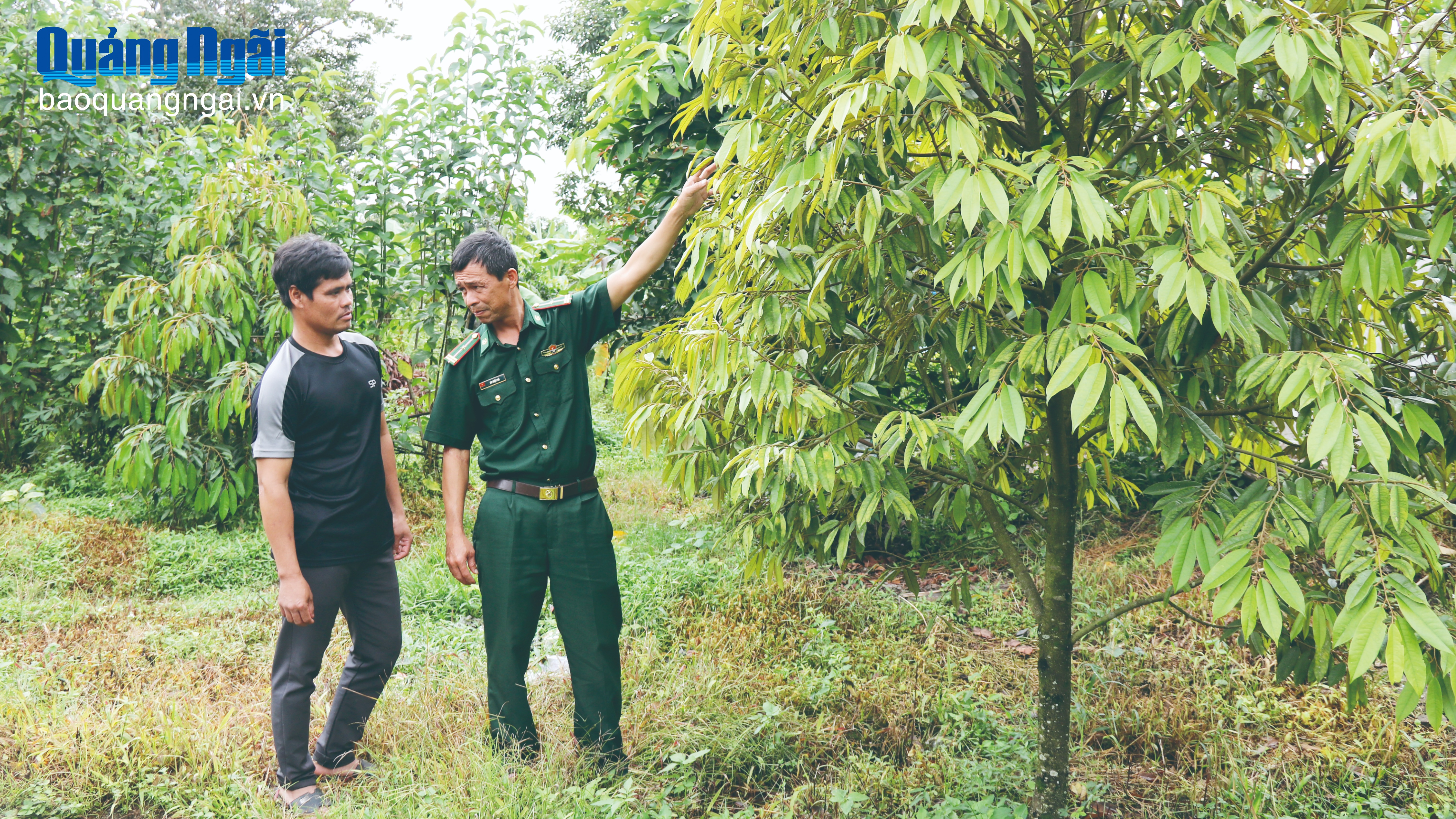 Đảng viên “quân hàm xanh” về thôn