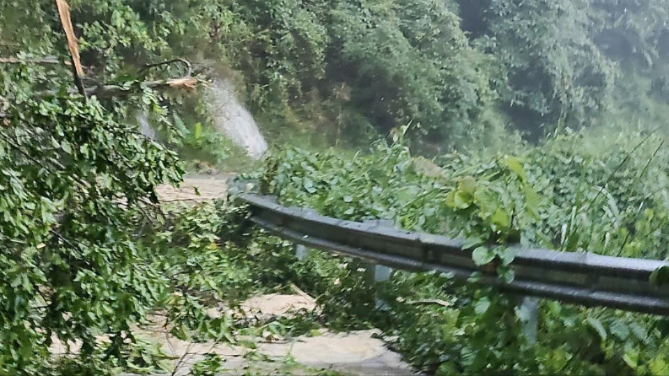 Nhiều khu vực ở Quảng Ngãi nguy cơ cao xảy ra lũ quét, sạt lở đất trong sáng nay