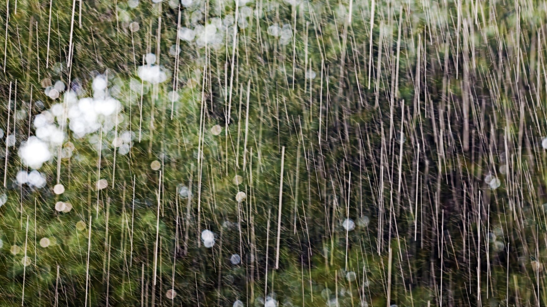 Quảng Ngãi mưa rất to, cảnh báo ngập úng cục bộ