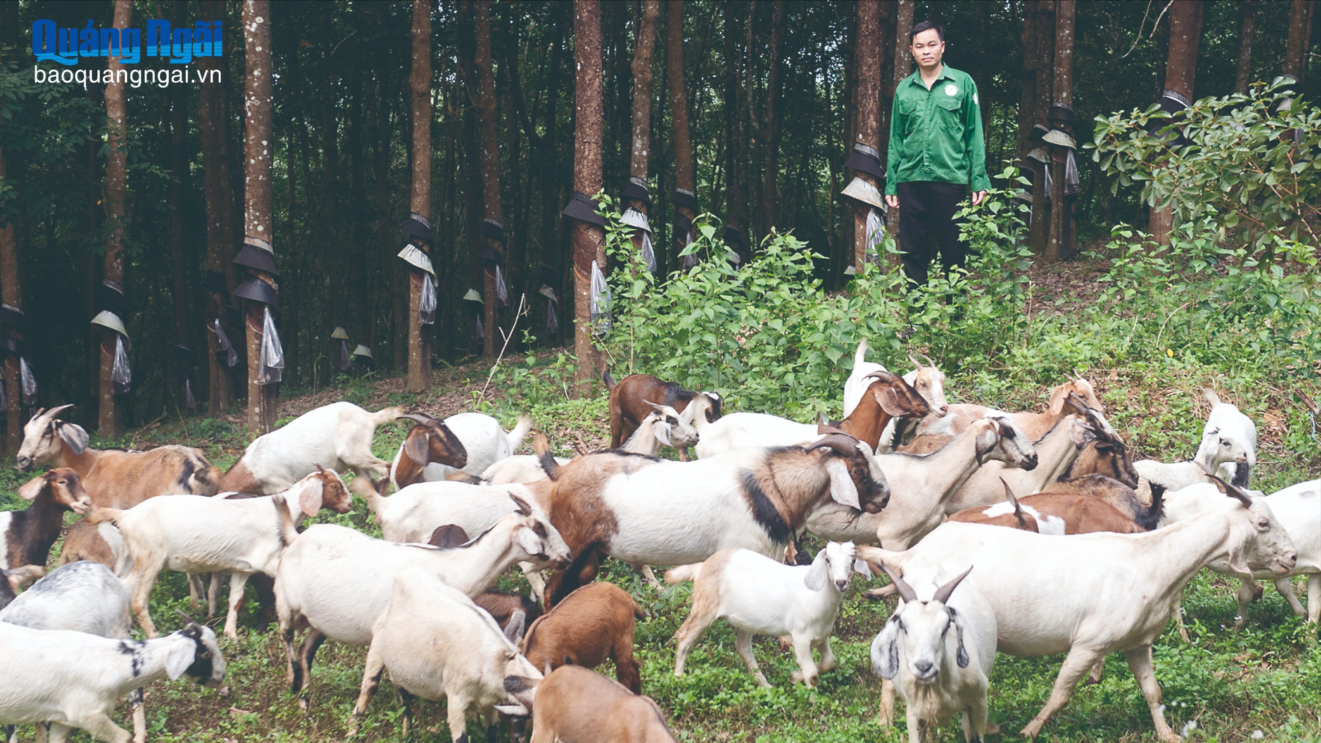 Đồng bào dân tộc thiểu số thi đua phát triển kinh tế