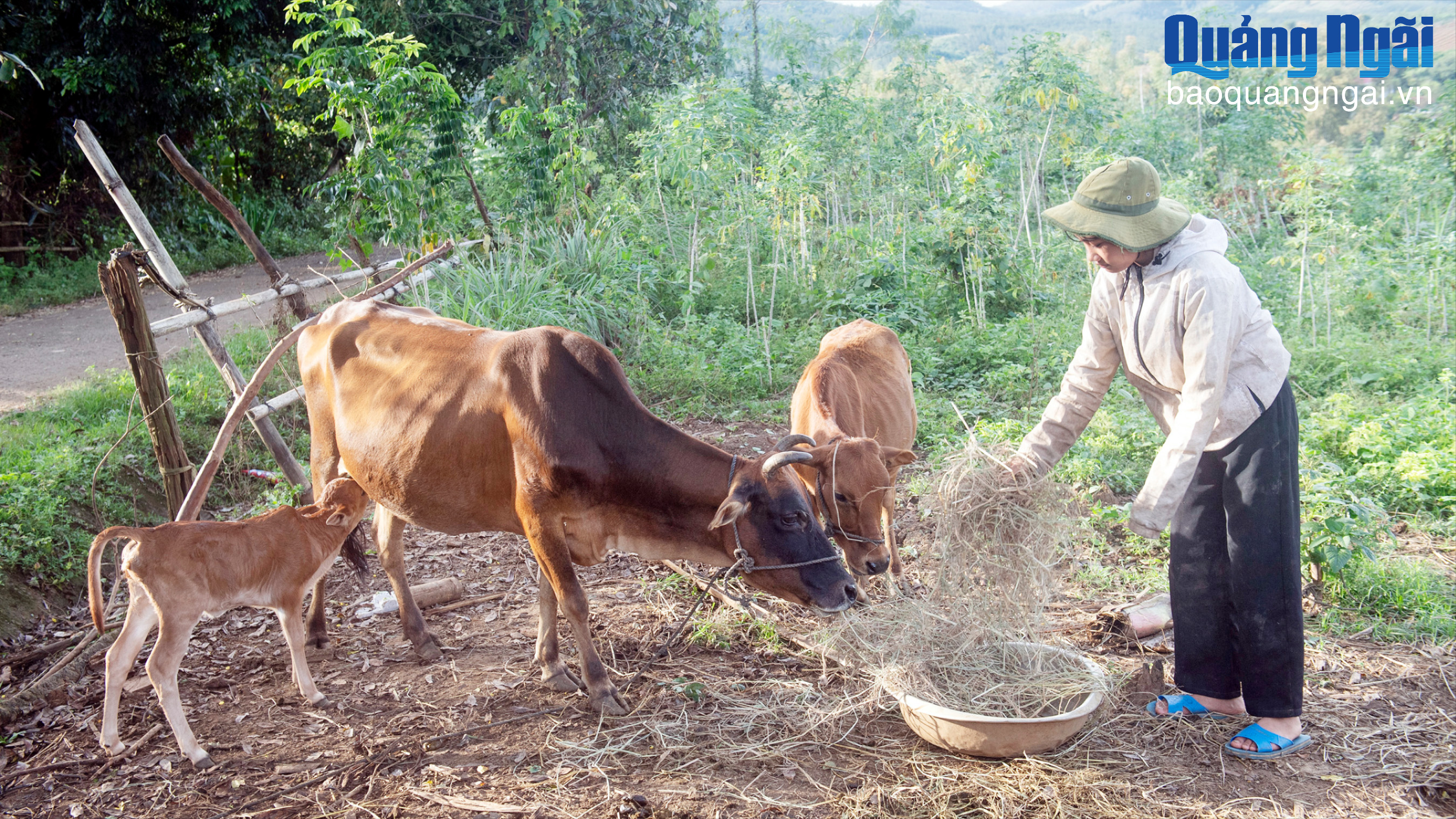 Các mô hình giảm nghèo phát huy hiệu quả