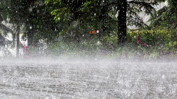 Quảng Ngãi tiếp tục mưa to đến rất to, có xu hướng giảm dần từ ngày 22/11