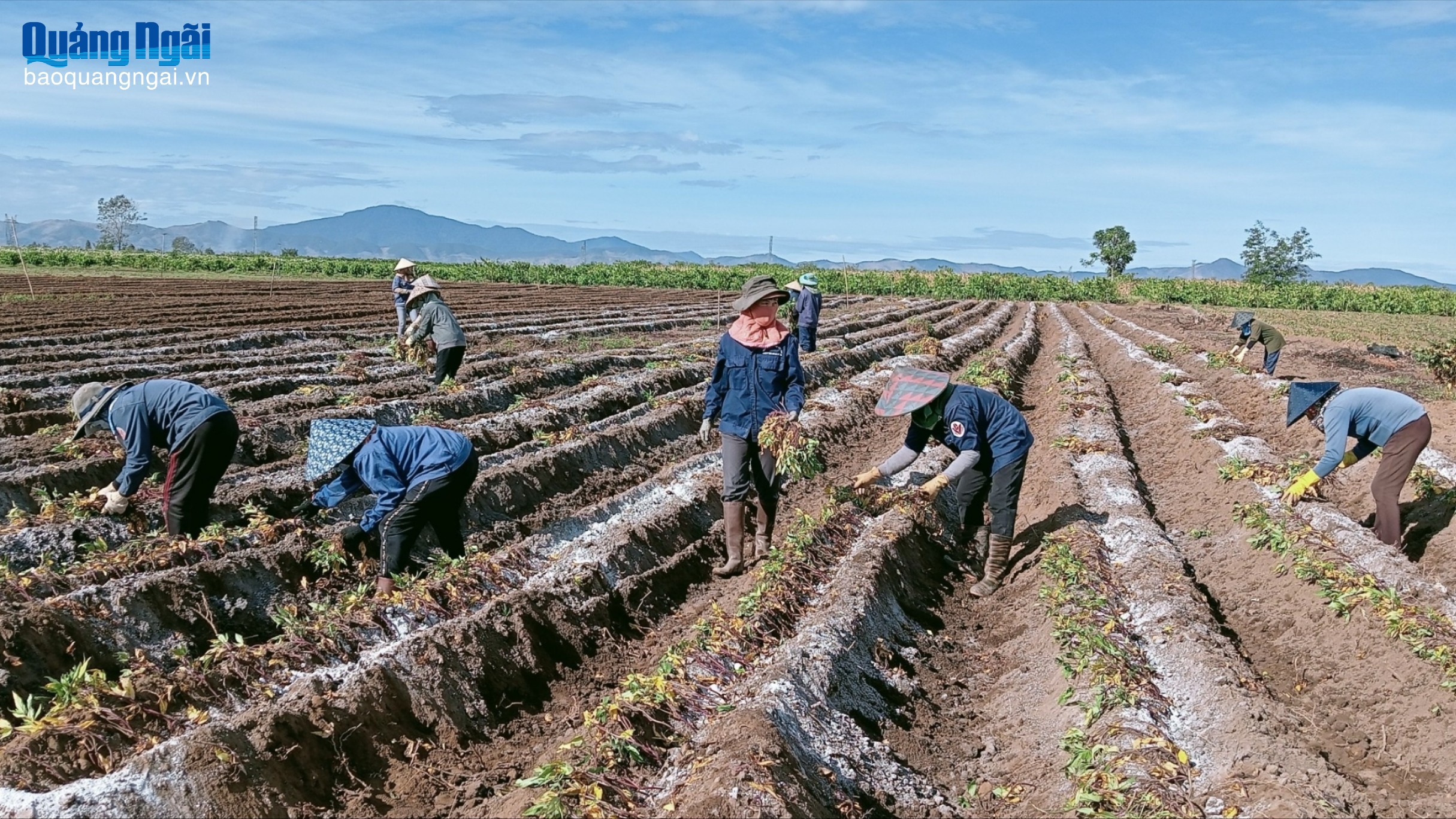 Nông dân xã Đăk Hà cùng nhau đổi công, góp sức