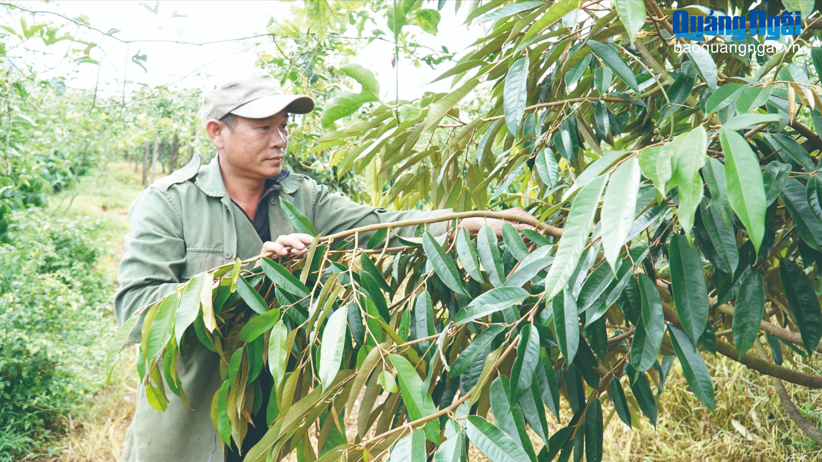 Mở lối cho người lầm lỗi tái hòa nhập cộng đồng