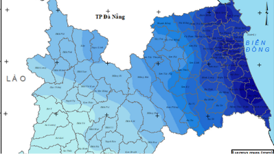 Quảng Ngãi dự báo tiếp tục mưa lớn, giảm dần từ đêm 22/11