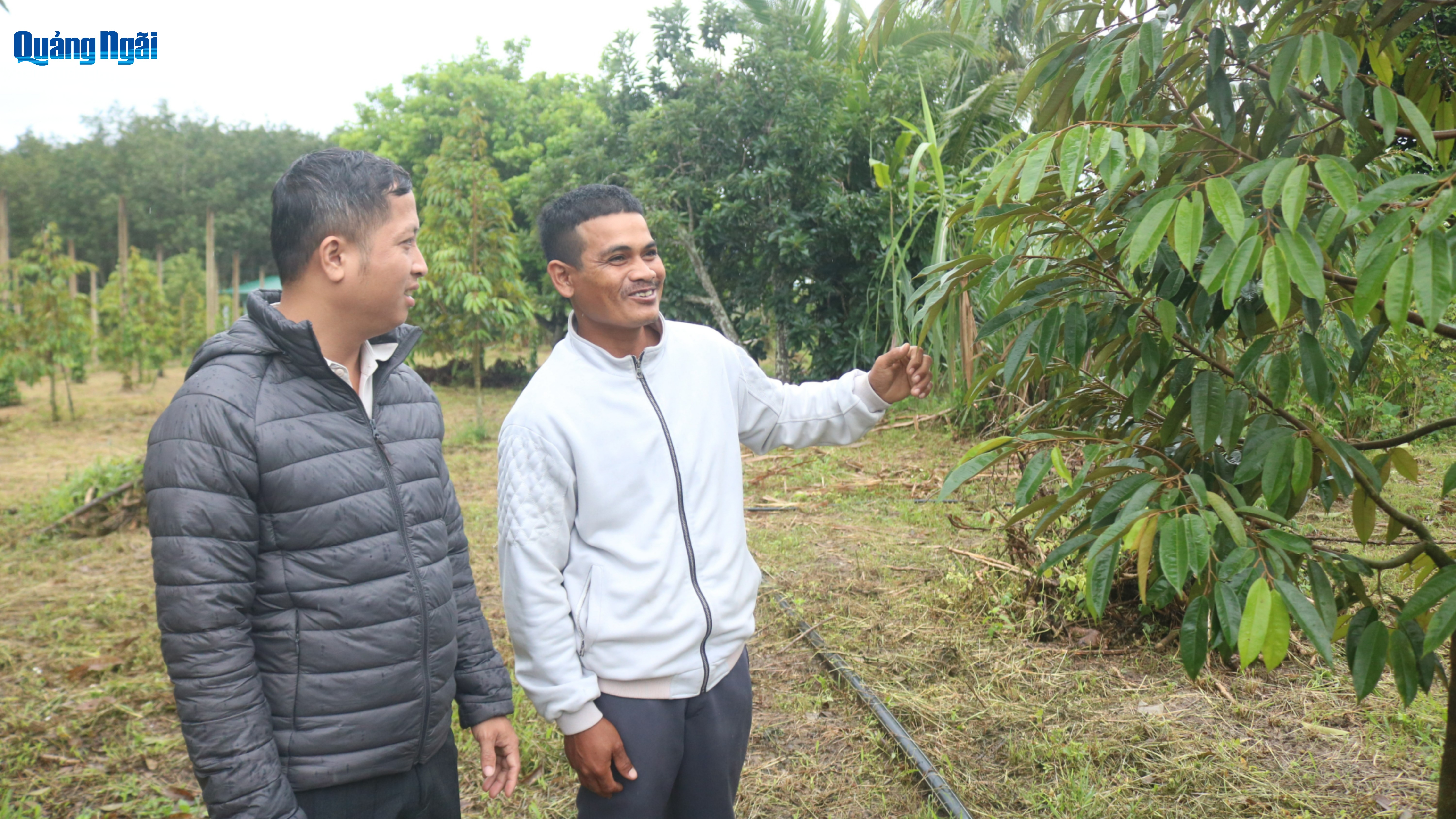 Đưa chính sách vào cuộc sống