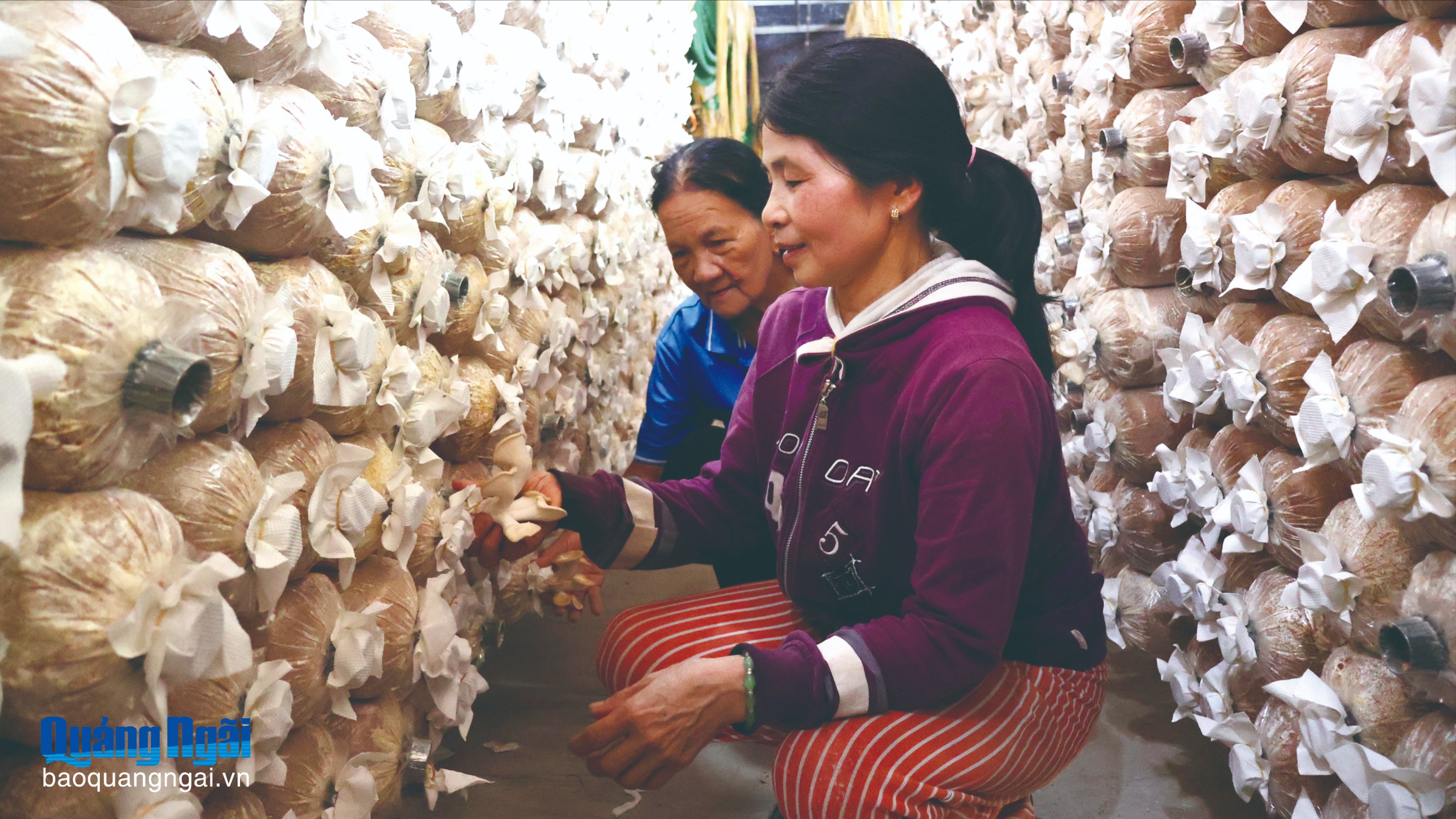 Hướng tới mục tiêu không còn hộ nghèo